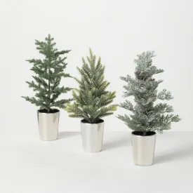 Assorted Mini Pine Trees in Silver Pots