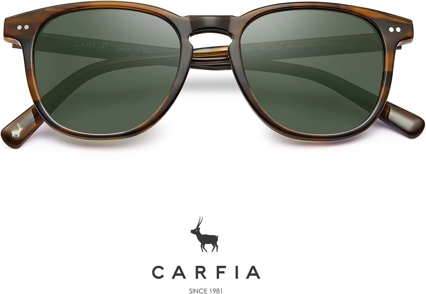 CARFIA Acetate Polarized Sunglasses for Men UV Protection Hand-Crafted Frame CA5285L
