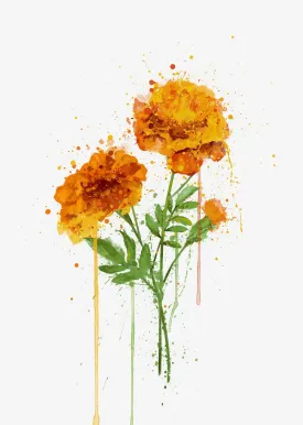 Flower Wall Art Print ‘Marigold'