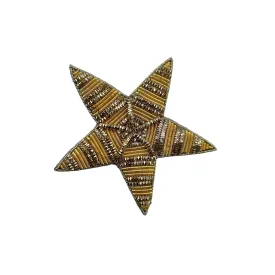 Gold star pin