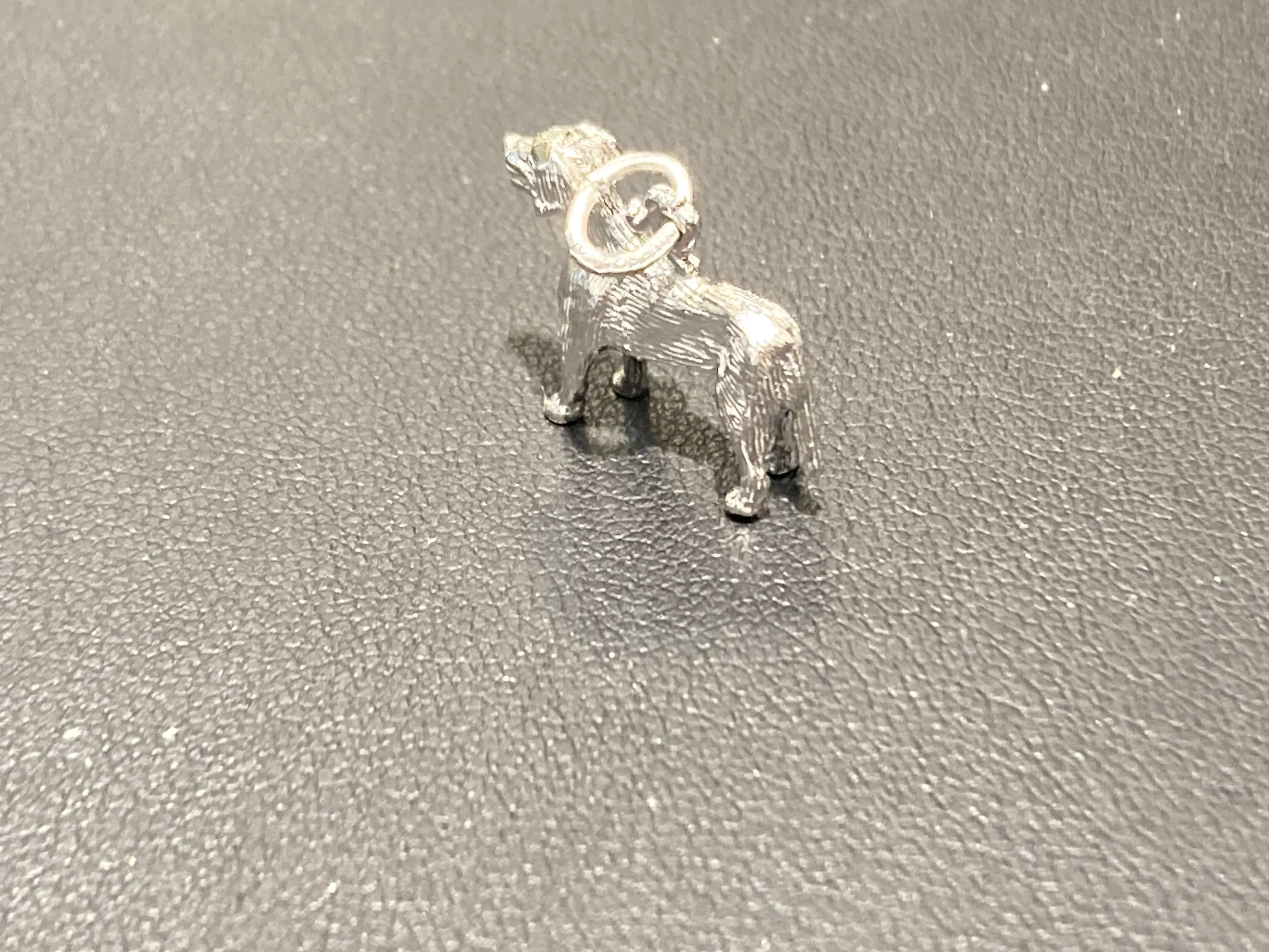 Labrador Retriever Silver Charm