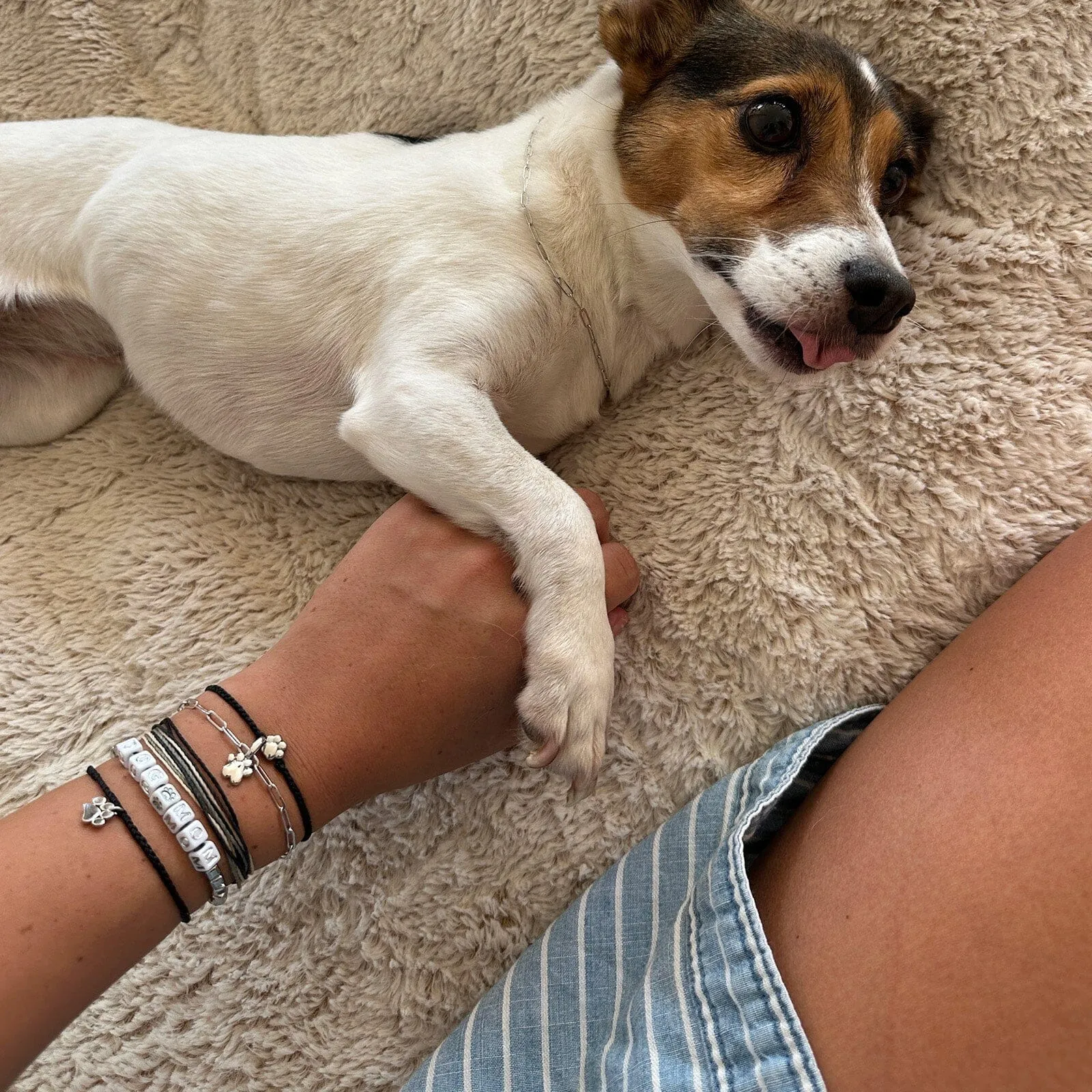 Paw Bead Charm Bracelet