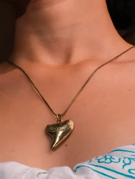 Shark Tooth  Necklace