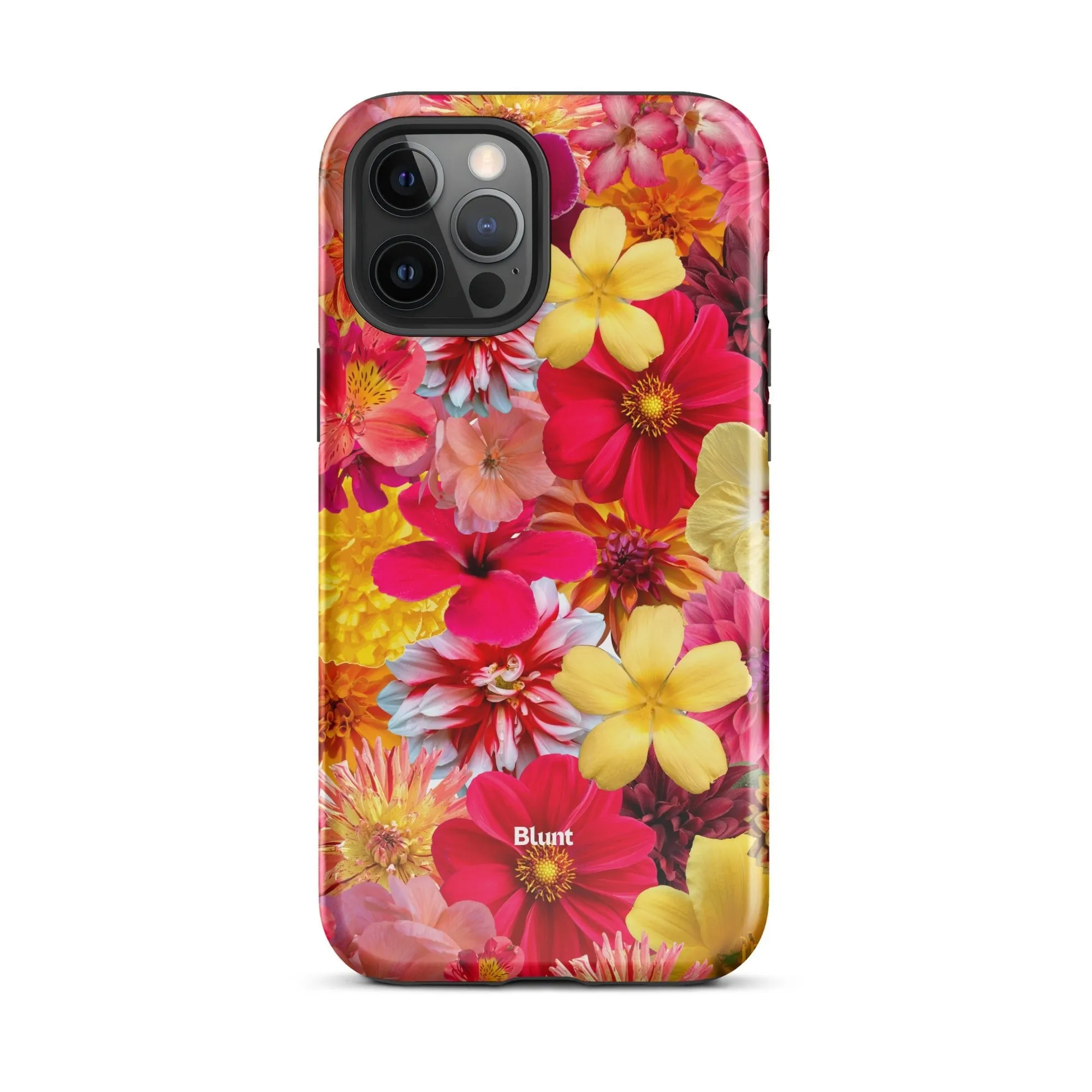 Sunset iPhone Case