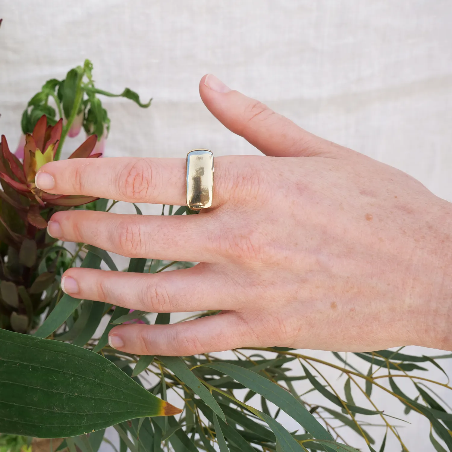 Optimized Territorial Ring: Enhanced Design