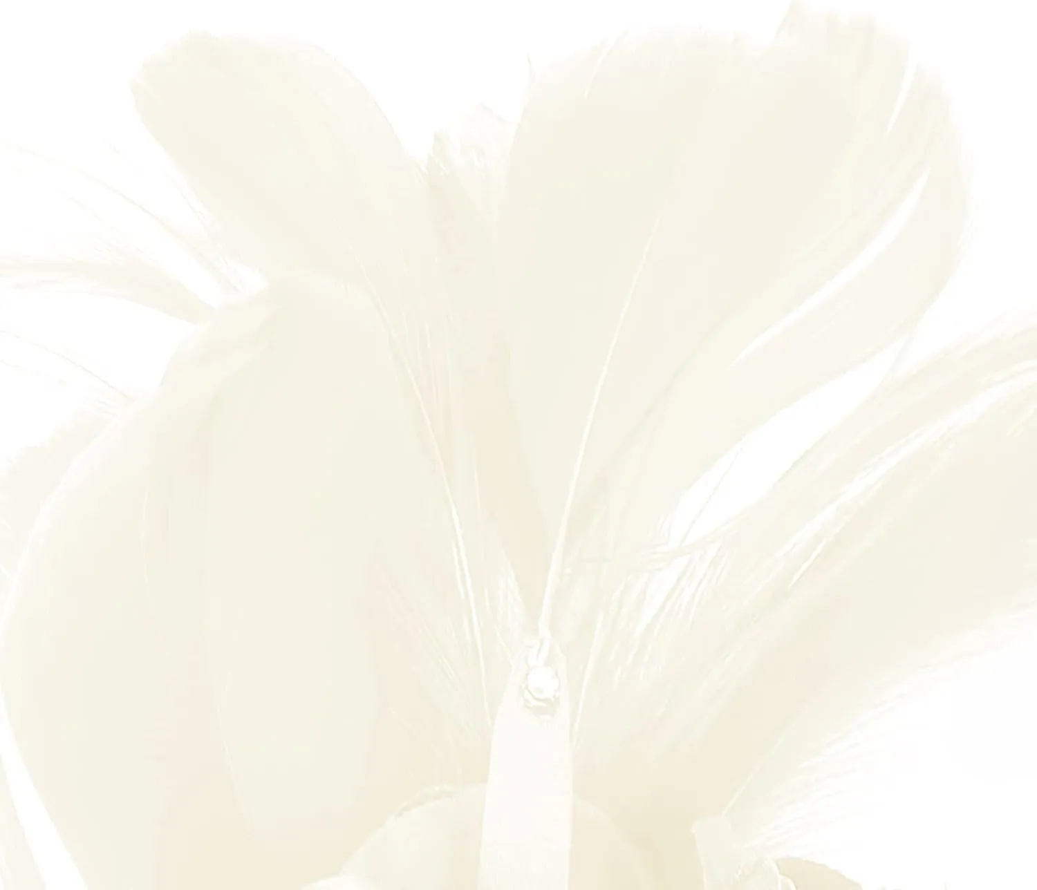 Women's Fascinator Feather Flower Pin Brooch Corsage Bridal Hairband Derby Hat Cocktail Party Wedding